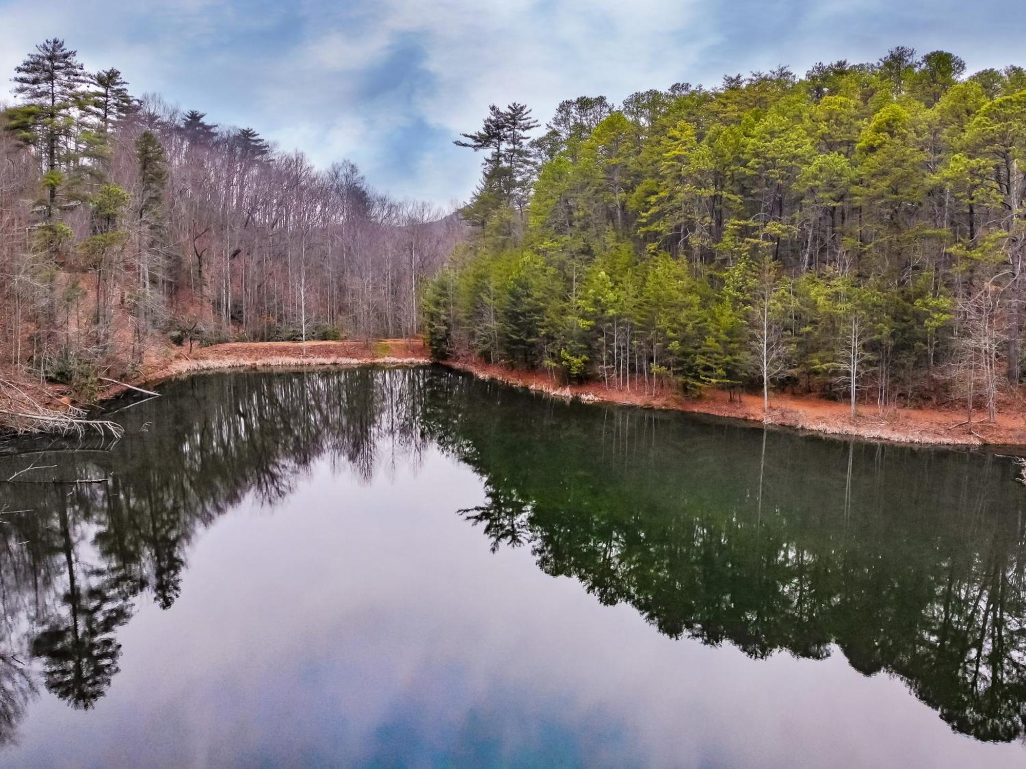 Alpine Joy-Hot Tub, Pond Access ,1089 Of Free Tickets For Each Paid Day, Dollywood And More! Townsend Room photo